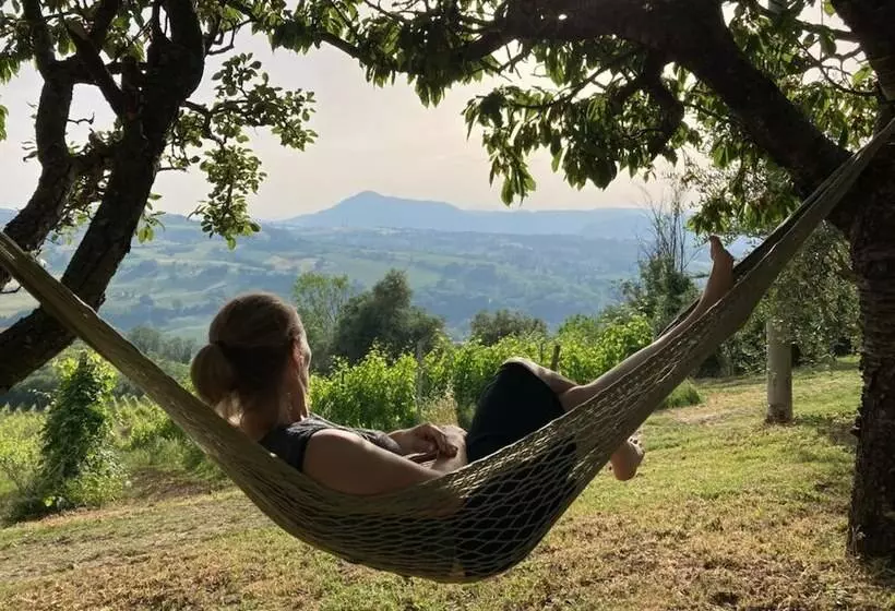 Villa Verdicchio   B&b With Wellness For Winelovers