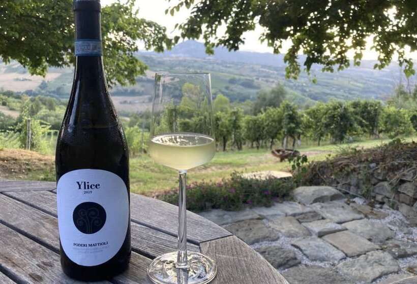 Villa Verdicchio   B&b With Wellness For Winelovers