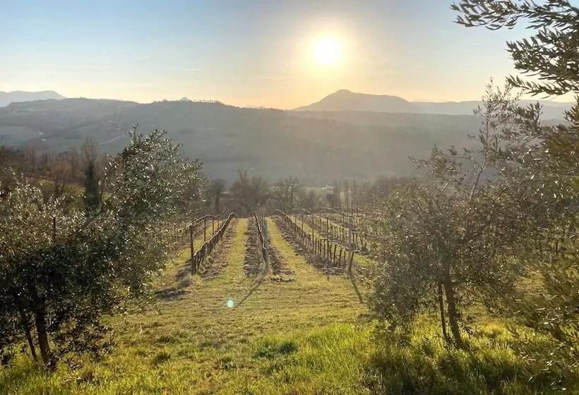 Villa Verdicchio   B&b With Wellness For Winelovers