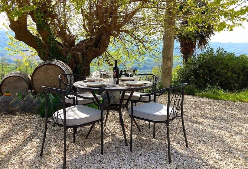 Villa Verdicchio   B&b With Wellness For Winelovers