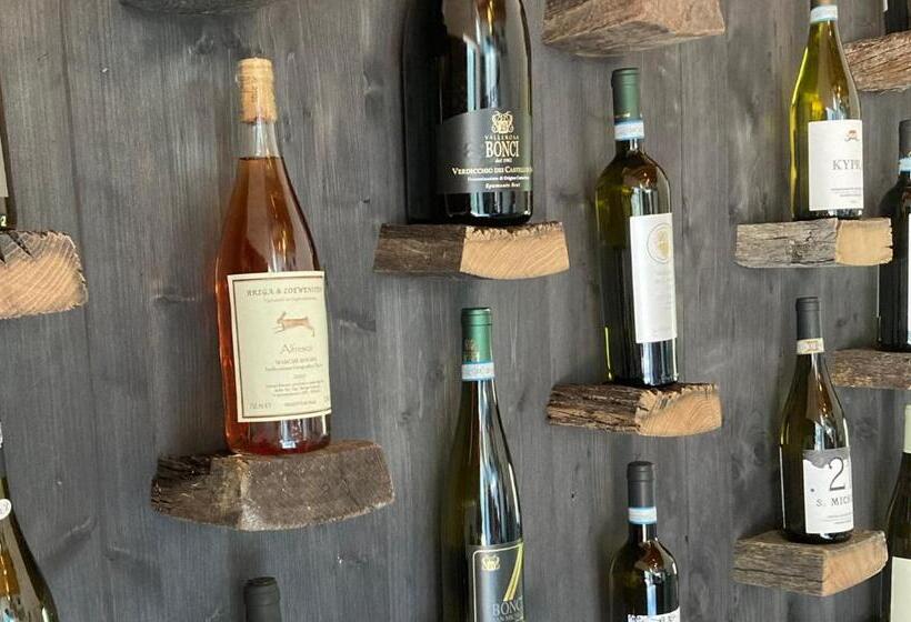 Villa Verdicchio   B&b With Wellness For Winelovers