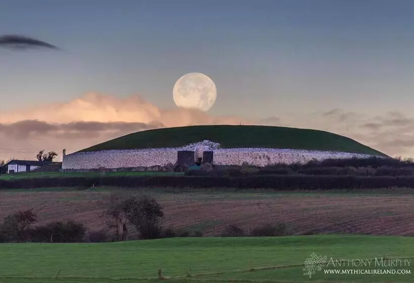 Aamiaismajoitus (B&B) Forest Hills Lodge