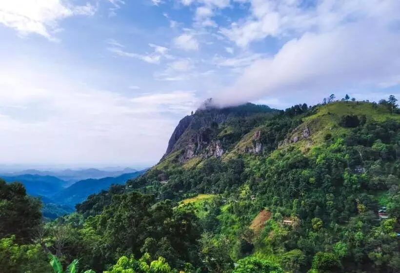 هتل The Peak Ella