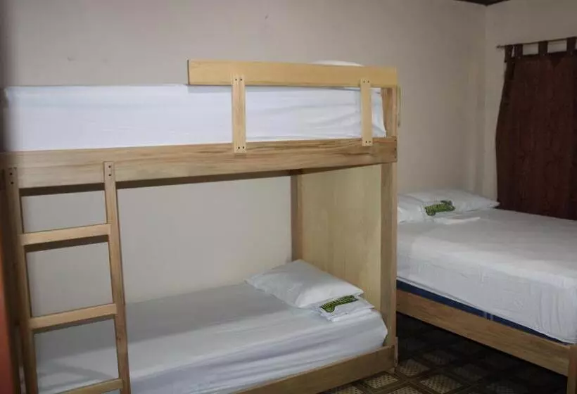ペンション Hipilandia Amazonas Hostel