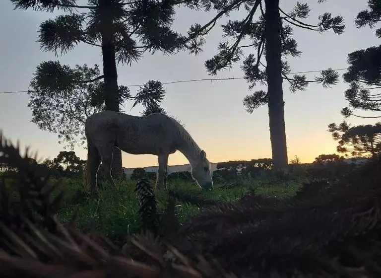 Majatalo Pousada Recanto Das Araucárias