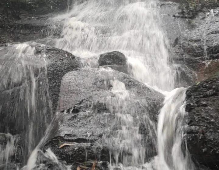 بنسيون Pousada Recanto Das Araucárias