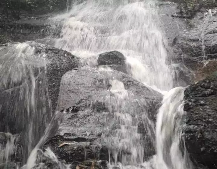 Majatalo Pousada Recanto Das Araucárias