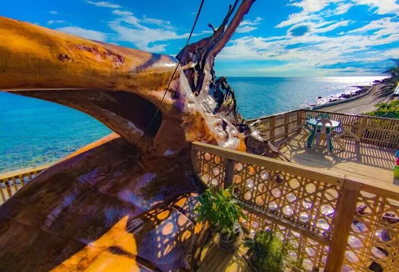 ペンション Truth Be Found Ministry Resort