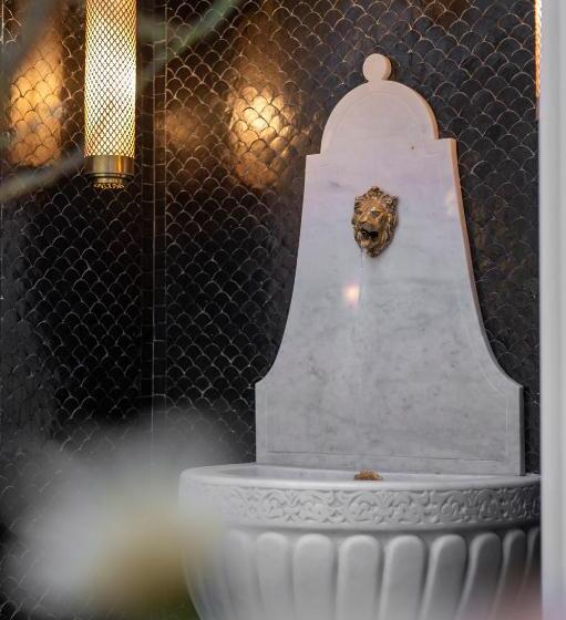 Riad Espoir Spa Logement Entier