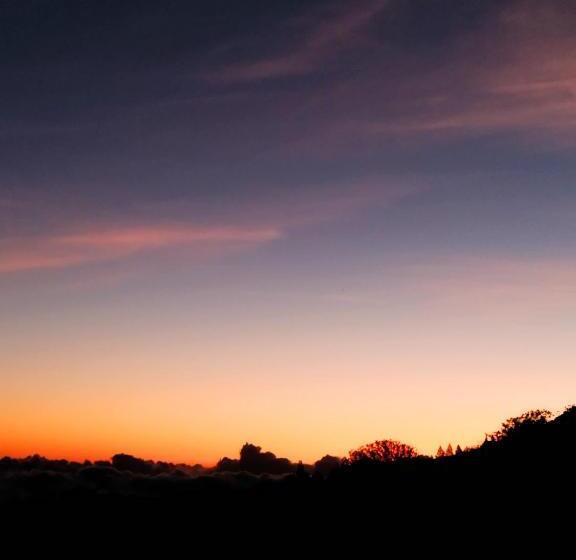 هاستل La Casita