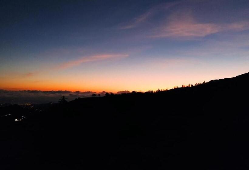 هاستل La Casita