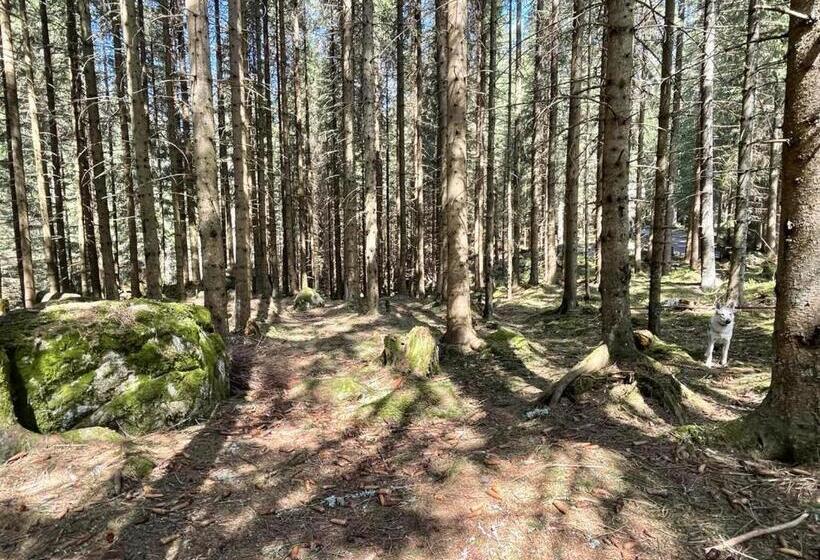 Apartmány Foresta Jasná