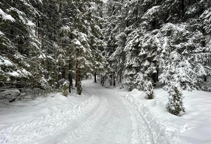 Apartmány Foresta Jasná