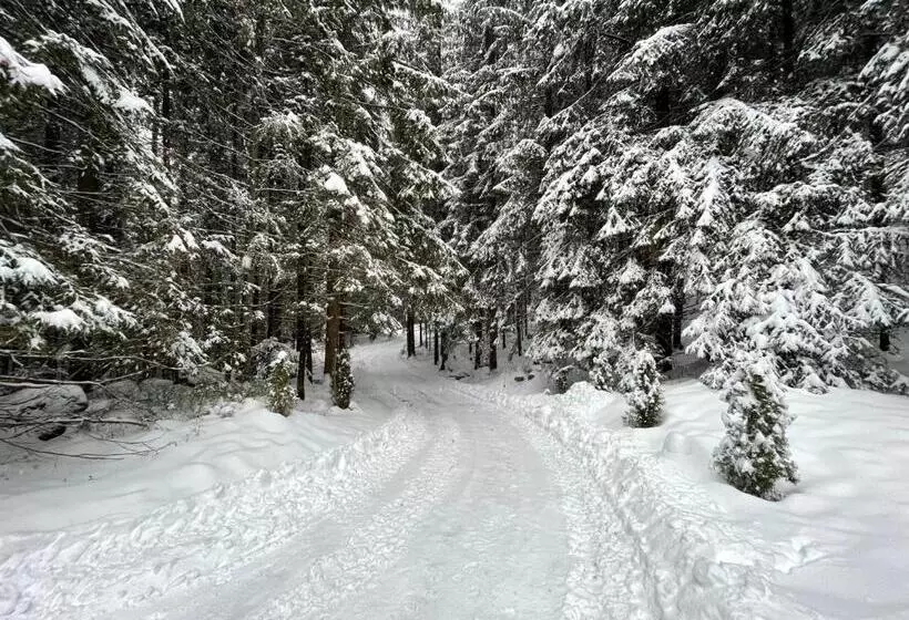 Apartmány Foresta Jasná