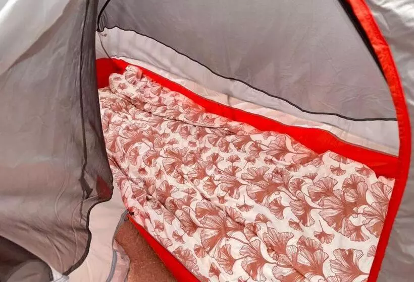 تختخواب و صبحانه Home Sweet Home Guanajuato