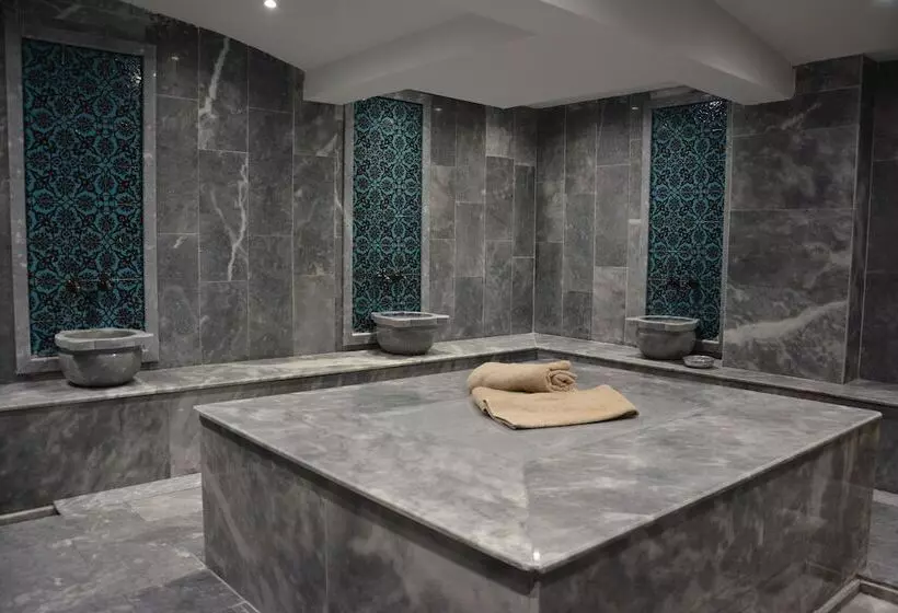 ホテル Anemon Kent Uşak