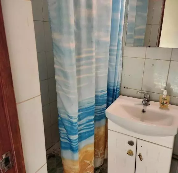 هاستل оазис