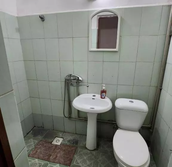 هاستل оазис