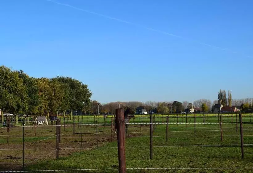 B&b Houten Huis