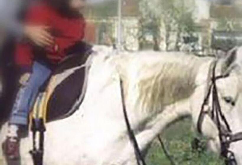 Casale Mariscoli B&b