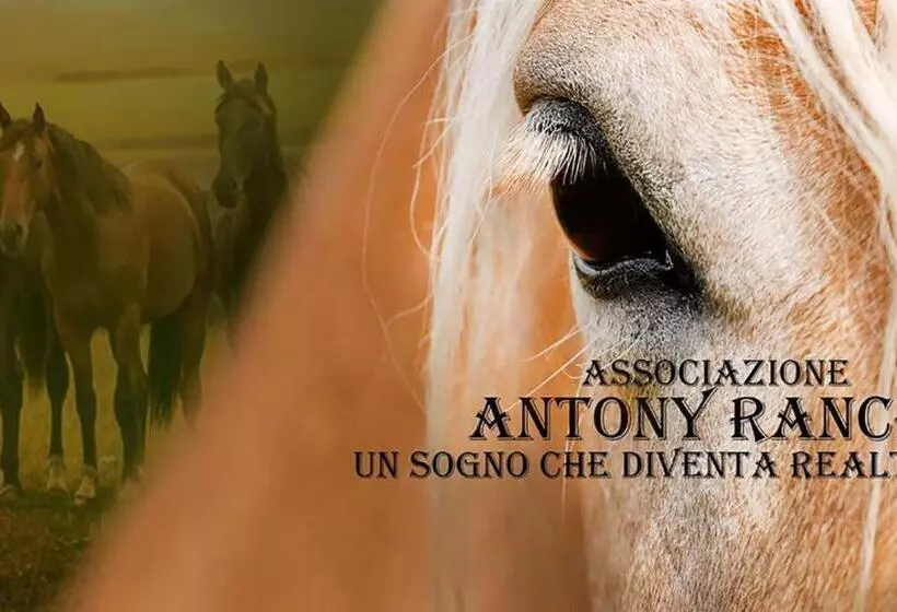 Casale Mariscoli B&b