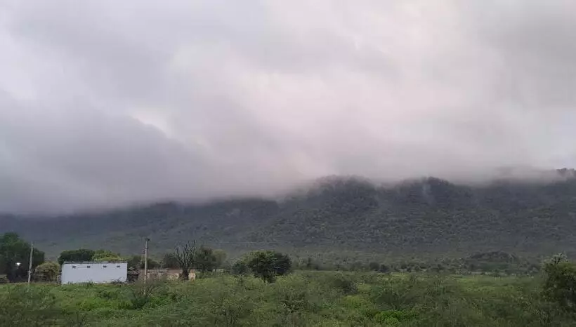 ホテル Sariska Kasba A Village Resort