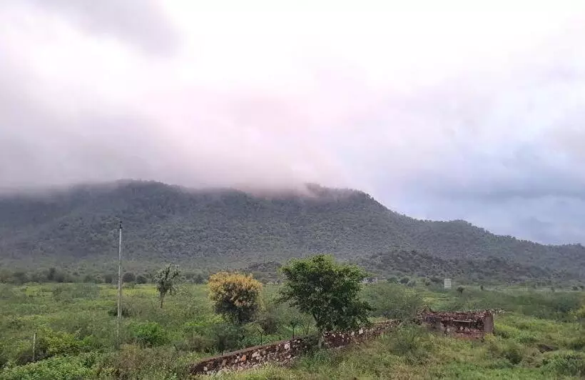 ホテル Sariska Kasba A Village Resort