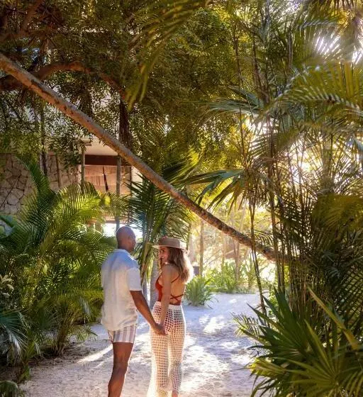 هتل Secrets Tulum Resort & Beach Club   Adults Only   All Inclusive