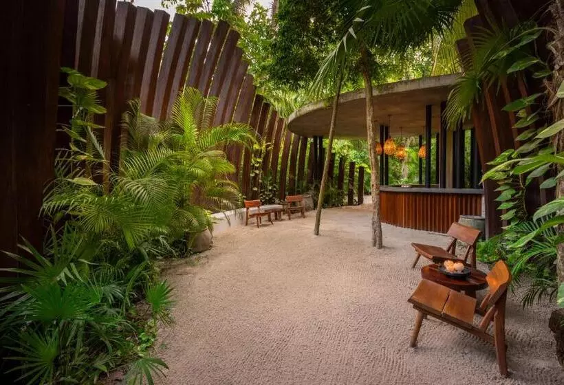 هتل Secrets Tulum Resort & Beach Club   Adults Only   All Inclusive