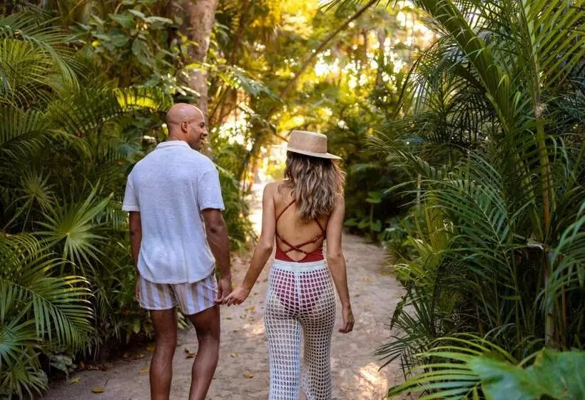 هتل Secrets Tulum Resort & Beach Club   Adults Only   All Inclusive