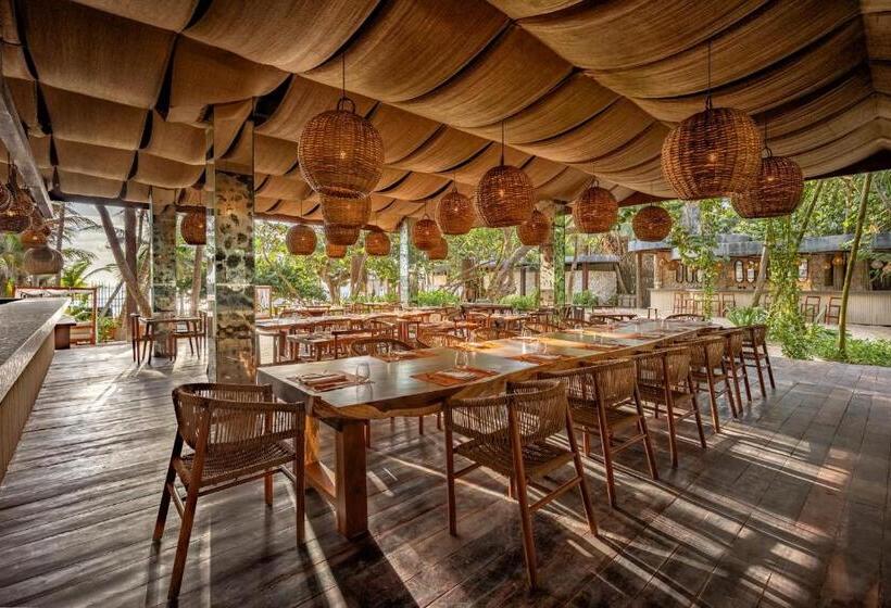 فندق Secrets Tulum Resort & Beach Club   Adults Only   All Inclusive