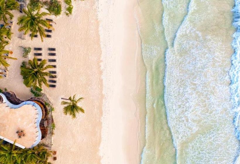 فندق Secrets Tulum Resort & Beach Club   Adults Only   All Inclusive