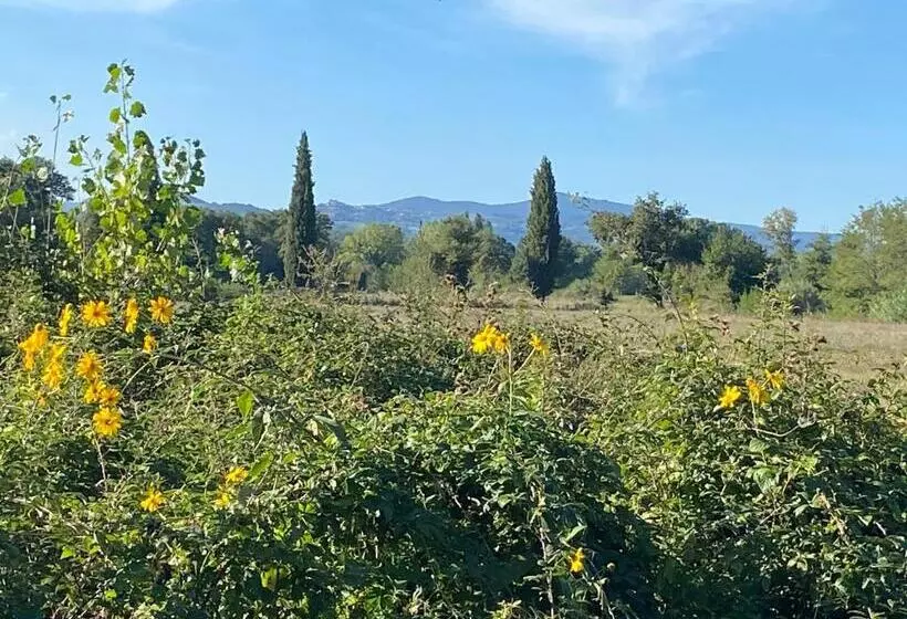 Il Casale Delle Rose