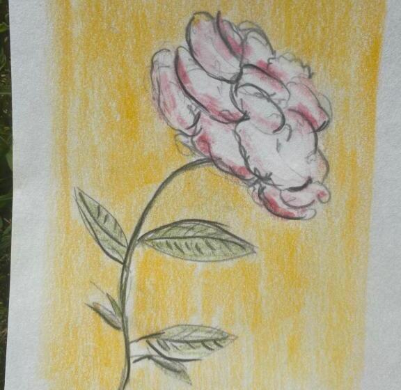 Il Casale Delle Rose