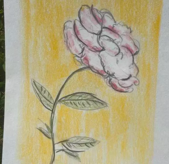 Il Casale Delle Rose