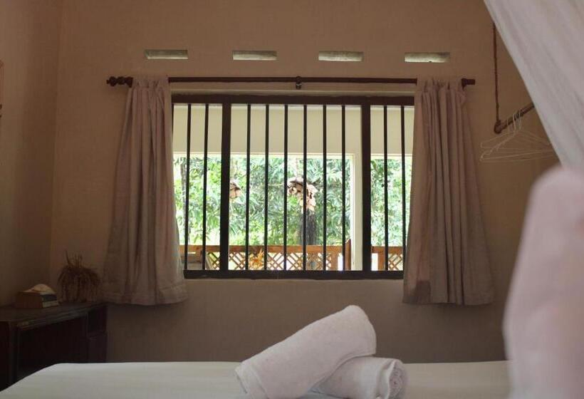 Pension Into The Blue Yoga Included & Walk To 3 Beaches