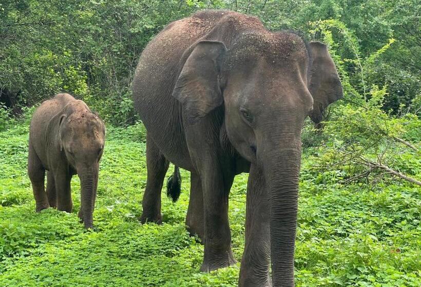 Pension Into The Blue Yoga Included & Walk To 3 Beaches