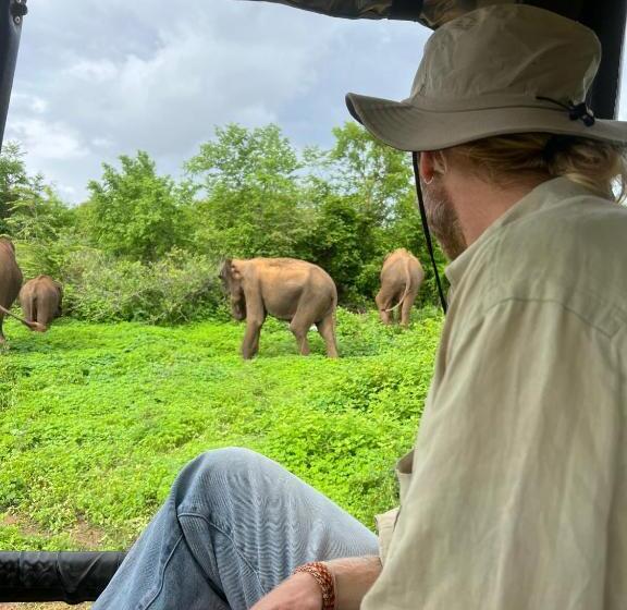 Pension Into The Blue Yoga Included & Walk To 3 Beaches