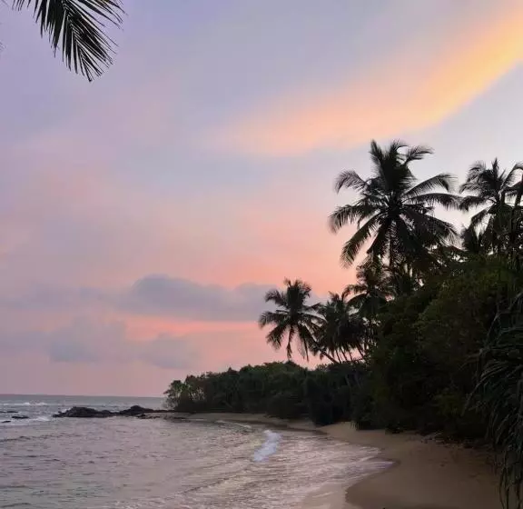 ペンション Into The Blue   Yoga Included & Walk To 3 Beaches