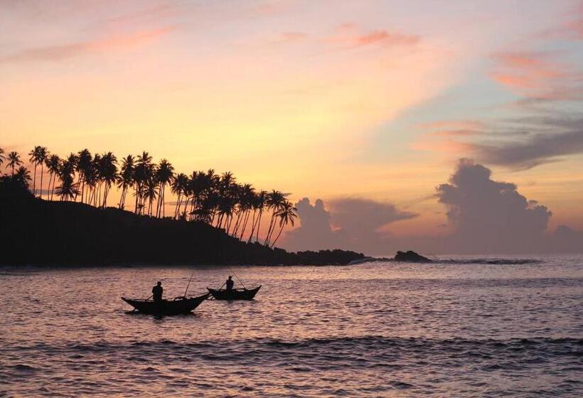 Pension Into The Blue Yoga Included & Walk To 3 Beaches