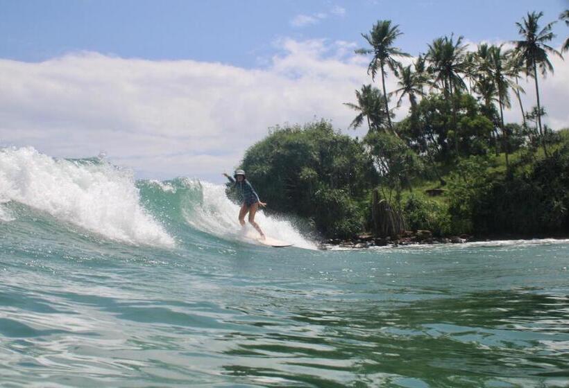 Pension Into The Blue Yoga Included & Walk To 3 Beaches