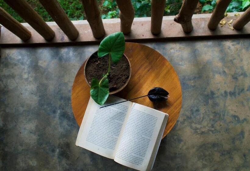 Pension Into The Blue Yoga Included & Walk To 3 Beaches