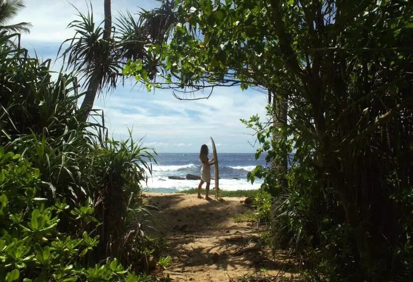ペンション Into The Blue   Yoga Included & Walk To 3 Beaches