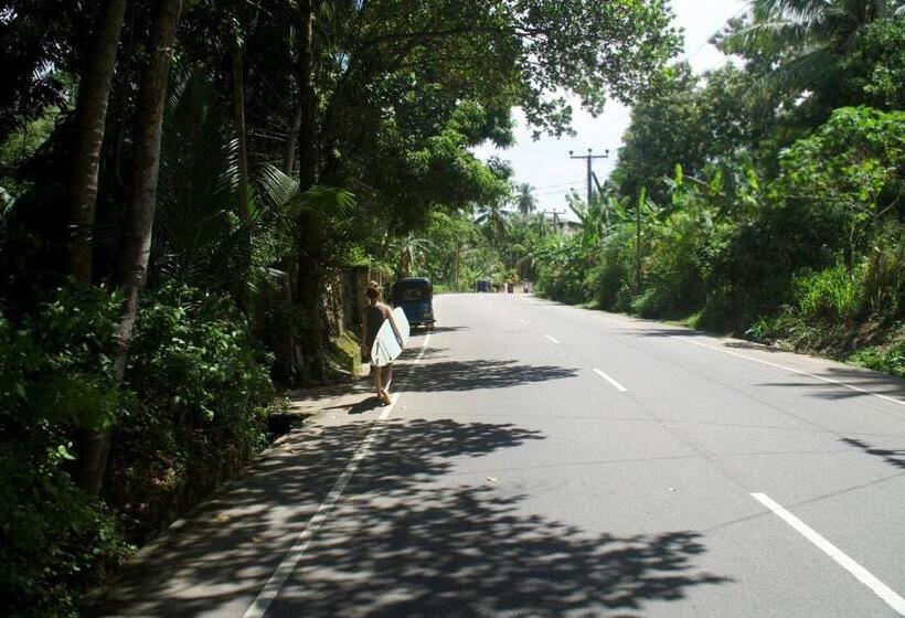 Pension Into The Blue Yoga Included & Walk To 3 Beaches