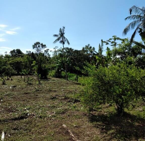 Пансион Pedacinho Do Paraiso