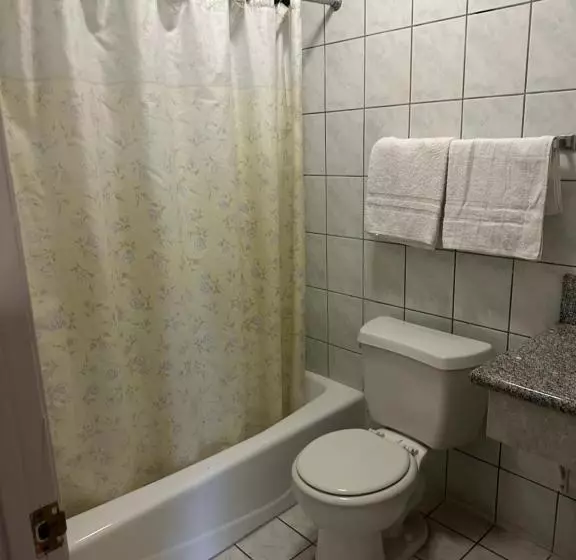 Plaza Inn Motel   Los Angeles Area