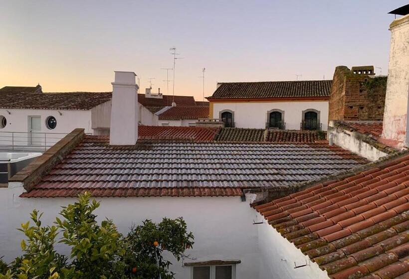 Hostel Slowly Com Vagar