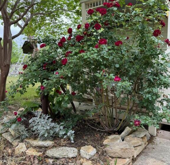 مبيت وإفطار Last Outpost Sophie S Cottage