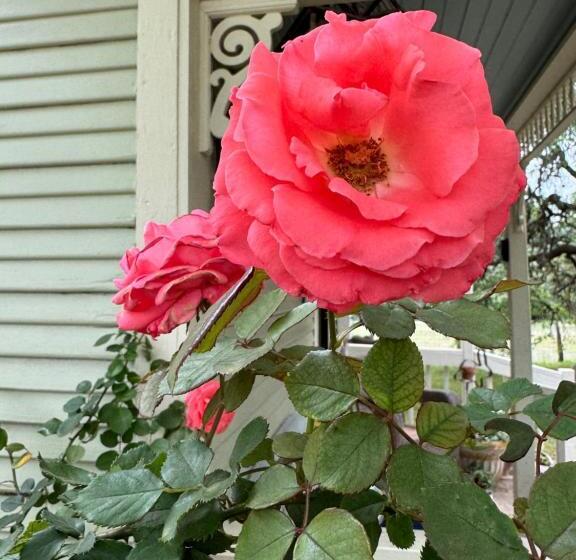 مبيت وإفطار Last Outpost Sophie S Cottage