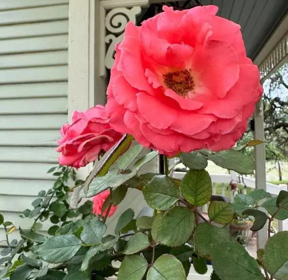 Aamiaismajoitus (B&B) Last Outpost   Sophie S Cottage